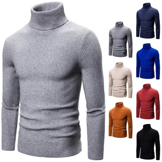 Pullover Da Uomo Dolcevita Lavorato A Maglia Solido Slim Fit Autunno Inverno Manica Intera Casual