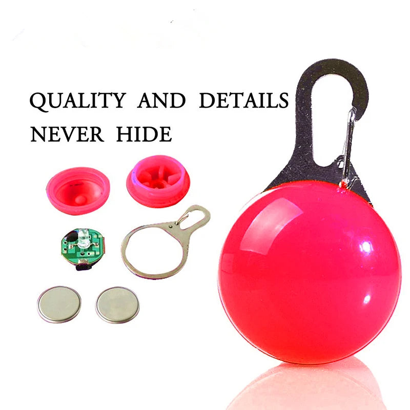 Collare Luminoso USB Ricaricabile Per Cani Di Piccola Taglia Pendente Staccabile Con Luce LED Notturna COOYOMOO