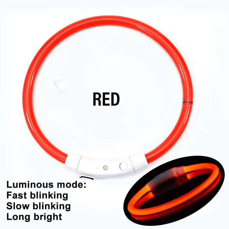 Collare Di Ricarica Luminoso Per Cani A 3 Modalità USB LED Staccabile Anti Smarrimento Notturno