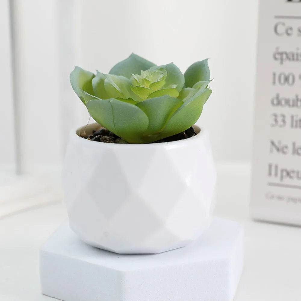 Simulazione Di Piante Bonsai E Succulente Artificiali Mini Evergreen Bonsai Cactus Decor Plastica Finta Per Decorazione