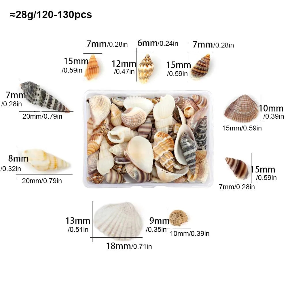 Scatola Di Conchiglie Di Mare Spirali Piccole Per Artigianato Decorazione Acquario Paesaggio Oggetti Scena Fotografia