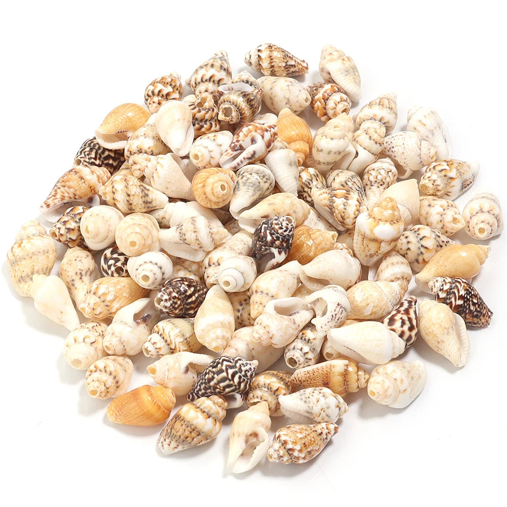 Perline Di Conchiglia Di Mare 30g 40g 50g Conchiglie A Spirale Distanziatori Per Artigianato Fai Da Te Decorazioni Casa