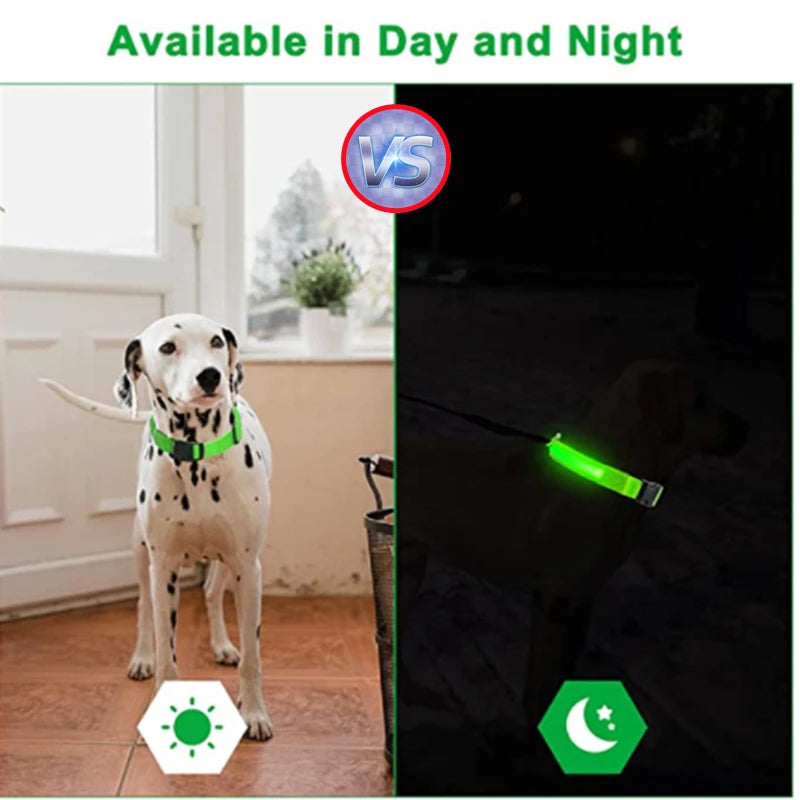 Collare Luminoso USB Ricaricabile Per Cani Di Piccola Taglia Pendente Staccabile Con Luce LED Notturna COOYOMOO