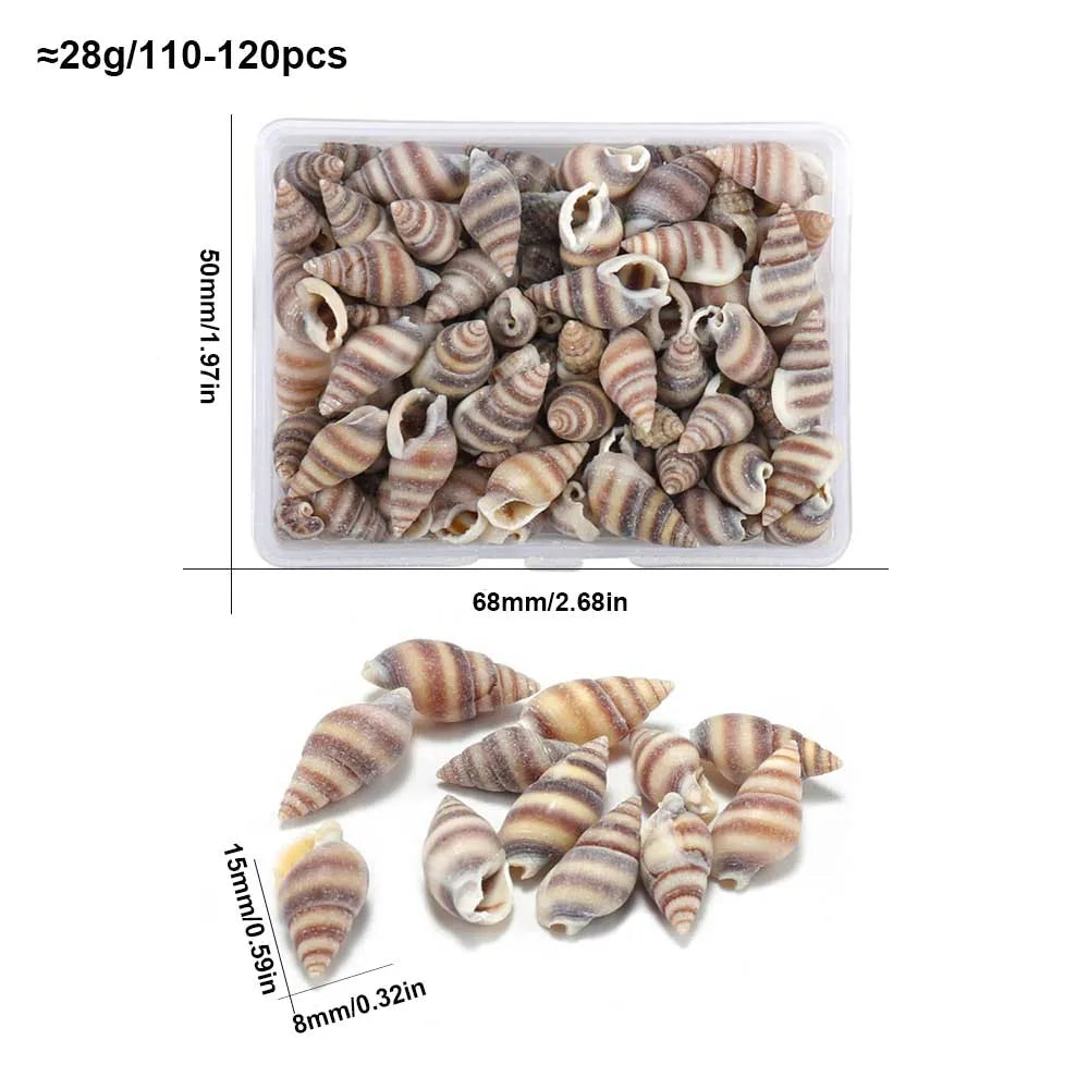 Scatola Di Conchiglie Di Mare Spirali Piccole Per Artigianato Decorazione Acquario Paesaggio Oggetti Scena Fotografia
