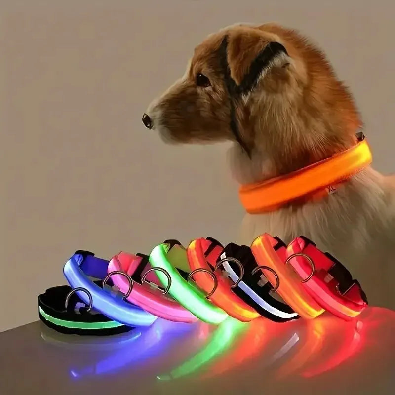 Guinzaglio per Cani in Nylon Led Sicurezza Notturna Lampeggiante Illumina al Buio Collare Fluorescente Luminoso