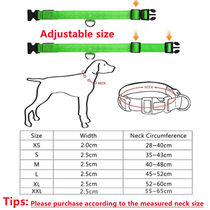 Collare Luminoso USB Ricaricabile Con Led Regolabile Cani Di Piccola Taglia E Gatti Luce Notturna Sicurezza Animali