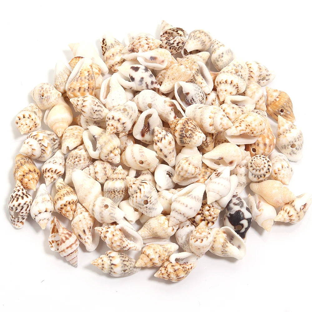Perline Di Conchiglia Di Mare 30g 40g 50g Conchiglie A Spirale Distanziatori Per Artigianato Fai Da Te Decorazioni Casa