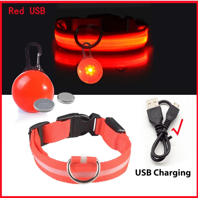 Collare Luminoso USB Ricaricabile Per Cani Di Piccola Taglia Pendente Staccabile Con Luce LED Notturna COOYOMOO