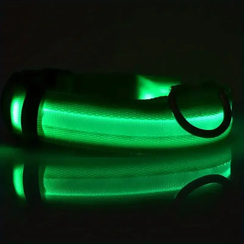 Guinzaglio per Cani in Nylon Led Sicurezza Notturna Lampeggiante Illumina al Buio Collare Fluorescente Luminoso