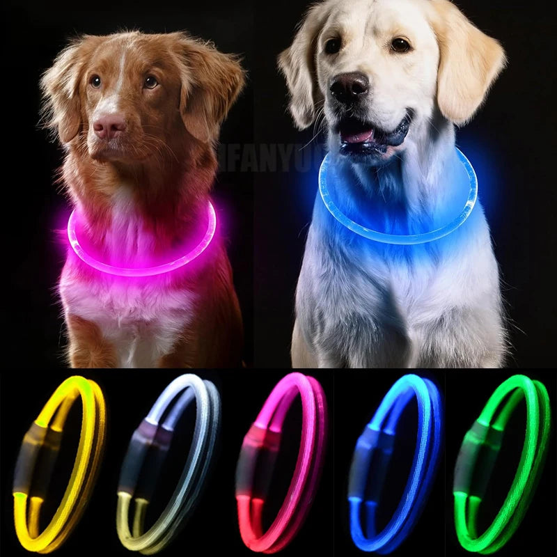 Collare Di Ricarica Luminoso Per Cani A 3 Modalità USB LED Staccabile Anti Smarrimento Notturno
