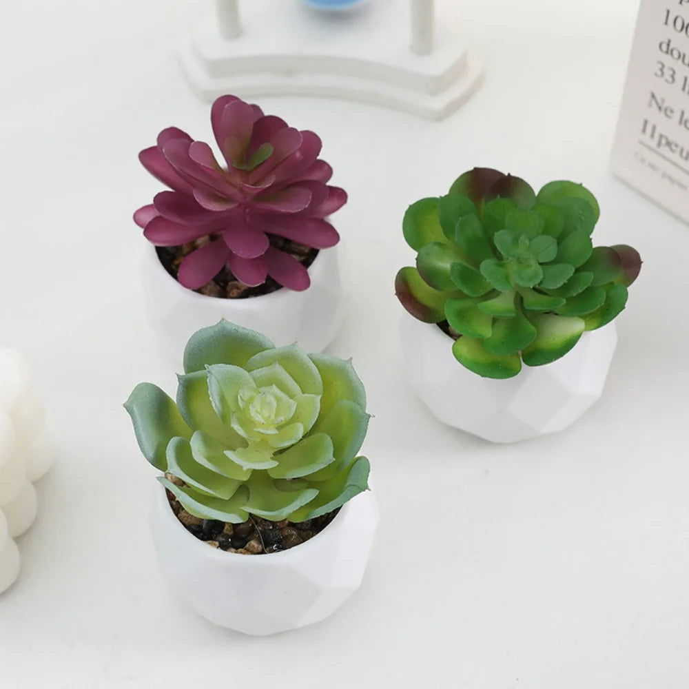 Simulazione Di Piante Bonsai E Succulente Artificiali Mini Evergreen Bonsai Cactus Decor Plastica Finta Per Decorazione