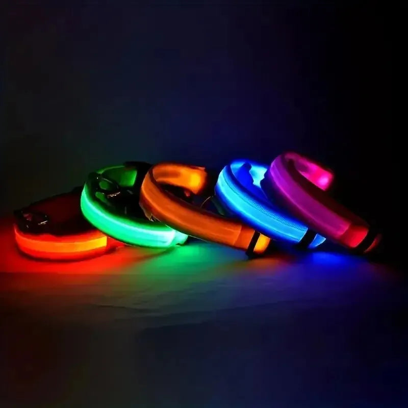 Guinzaglio per Cani in Nylon Led Sicurezza Notturna Lampeggiante Illumina al Buio Collare Fluorescente Luminoso