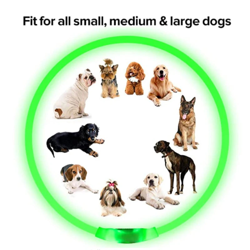 Collare Luminoso USB Ricaricabile Con Led Regolabile Cani Di Piccola Taglia E Gatti Luce Notturna Sicurezza Animali