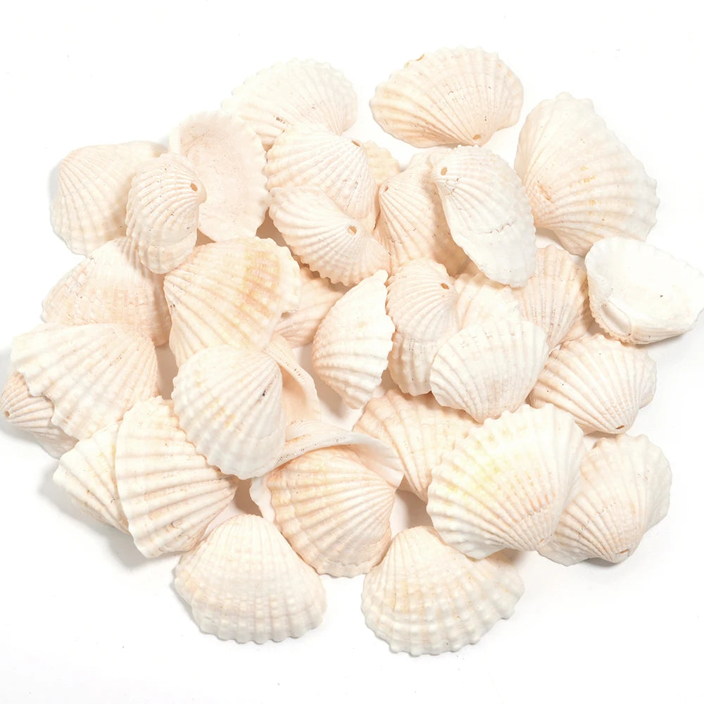 Perline Di Conchiglia Di Mare 30g 40g 50g Conchiglie A Spirale Distanziatori Per Artigianato Fai Da Te Decorazioni Casa