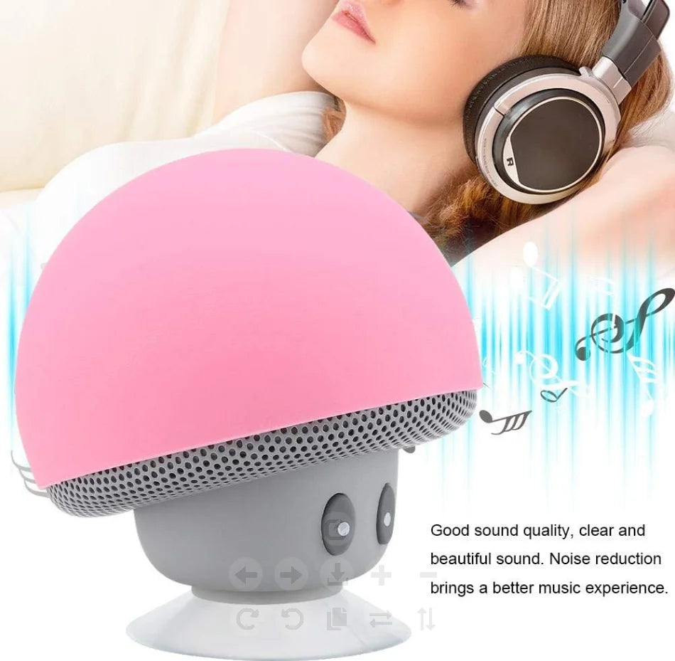 DUTRIEUX Altoparlante Bluetooth Con Subwoofer Integrato Ventosa Per Ciclisti Outdoor 30 Piedi