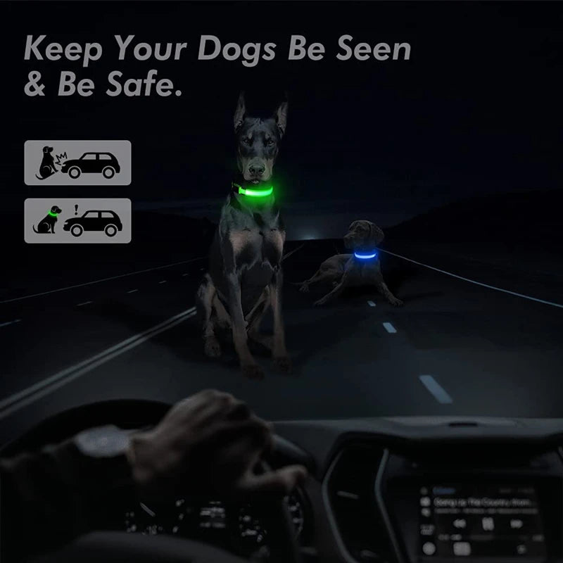 Collare Luminoso USB Ricaricabile Con Led Regolabile Cani Di Piccola Taglia E Gatti Luce Notturna Sicurezza Animali