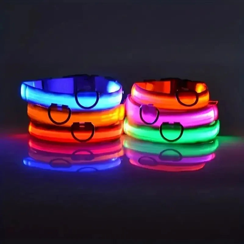 Guinzaglio per Cani in Nylon Led Sicurezza Notturna Lampeggiante Illumina al Buio Collare Fluorescente Luminoso