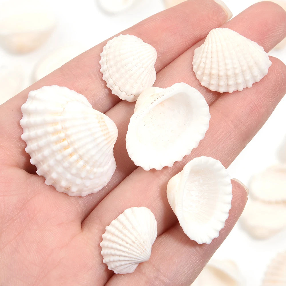 Perline Di Conchiglia Di Mare 30g 40g 50g Conchiglie A Spirale Distanziatori Per Artigianato Fai Da Te Decorazioni Casa
