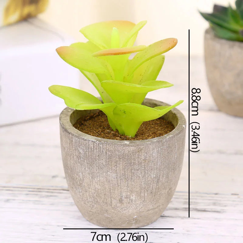 Mini Piante Succulente Artificiali Sempreverdi In Vaso Piccolo Per Ufficio Casa Decorazioni Da Tavolo Fiori Finti